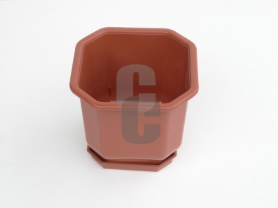 Нови предложения Саксия Дрина 20-20                                                                                                                                                                                                                                                                                          